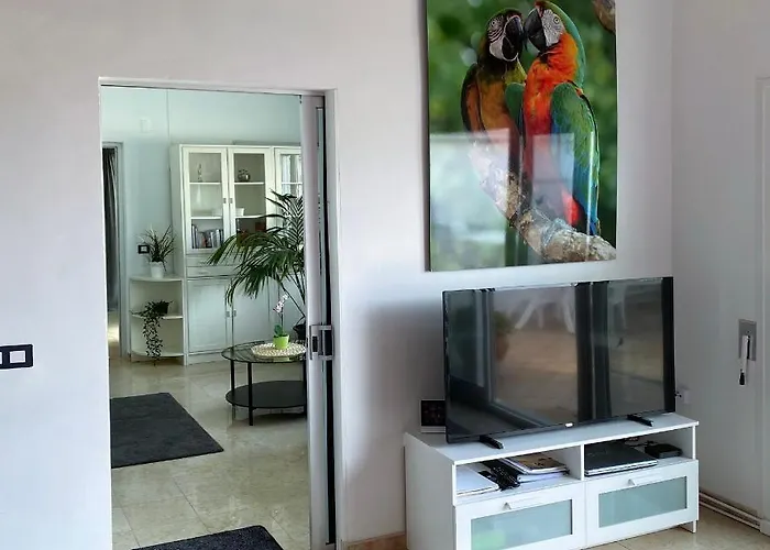 La Palmita